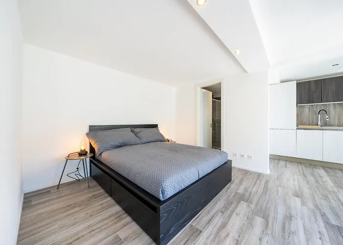 Διαμέρισμα Modern With Private Jacuzzy And Garden Muralto